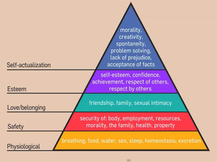 What Games Can Teach You About Your Students’ Needs