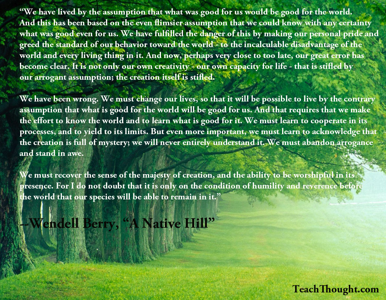wendell berry quote